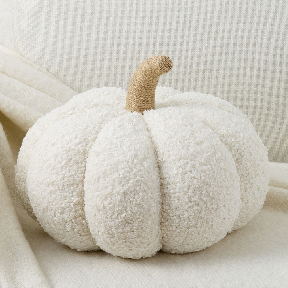 Pottery Barn Large Sherpa Pumpkin